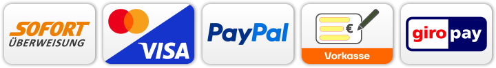 Zahlungsmethoden-Paypal-master-visa-giro-ueberweisung